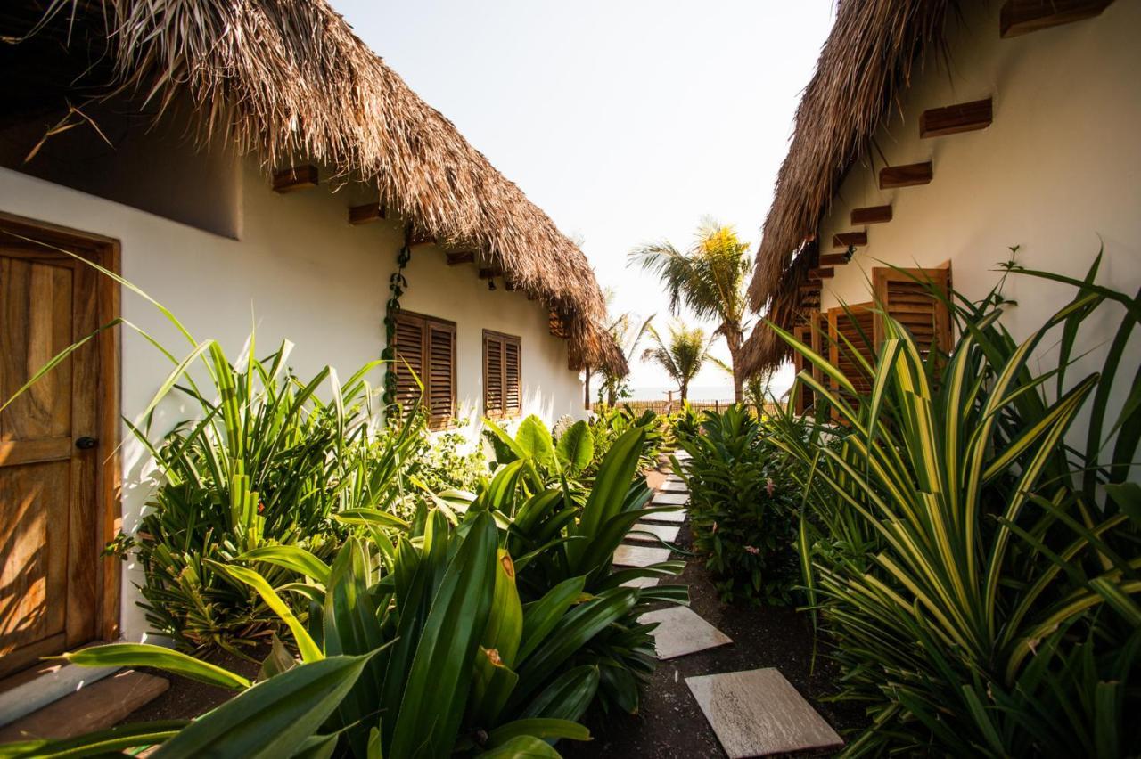 Hotel Paredon Surf House à El Paredón Buena Vista Extérieur photo