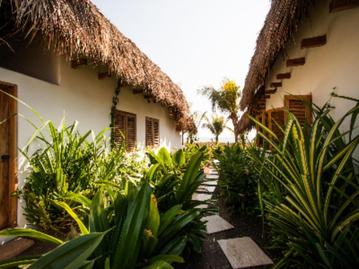 Hotel Paredon Surf House à El Paredón Buena Vista Extérieur photo
