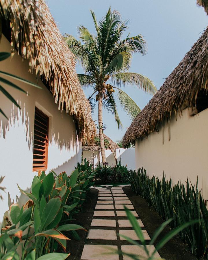 Hotel Paredon Surf House à El Paredón Buena Vista Extérieur photo