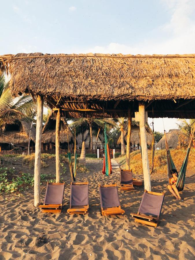 Hotel Paredon Surf House à El Paredón Buena Vista Extérieur photo