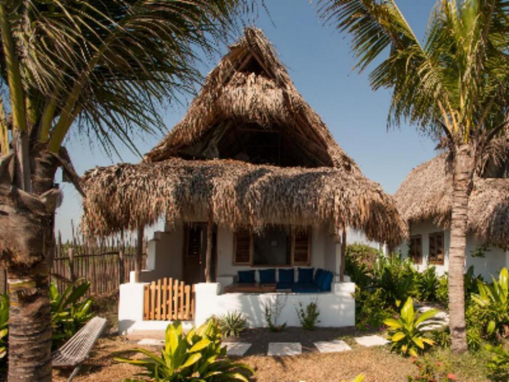 Hotel Paredon Surf House à El Paredón Buena Vista Chambre photo