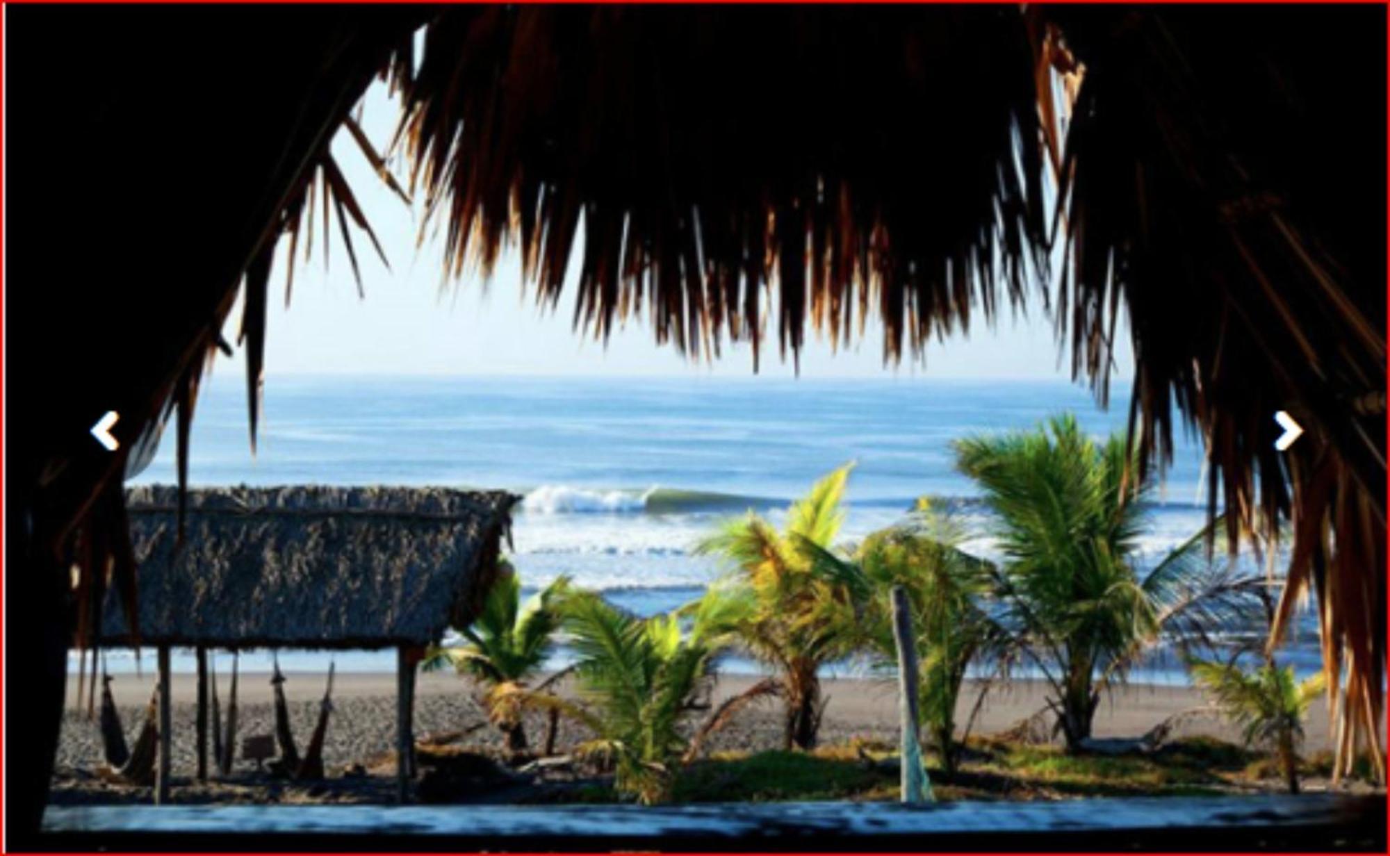Hotel Paredon Surf House à El Paredón Buena Vista Chambre photo