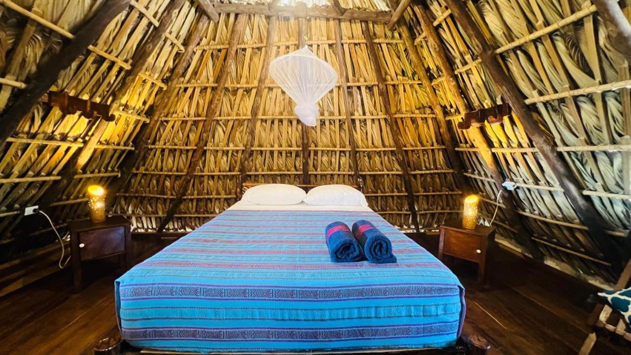 Hotel Paredon Surf House à El Paredón Buena Vista Extérieur photo