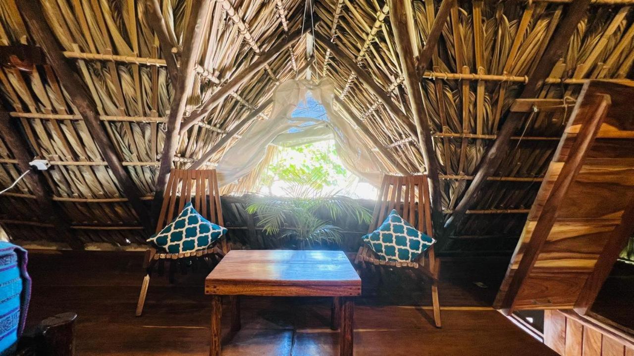 Hotel Paredon Surf House à El Paredón Buena Vista Extérieur photo