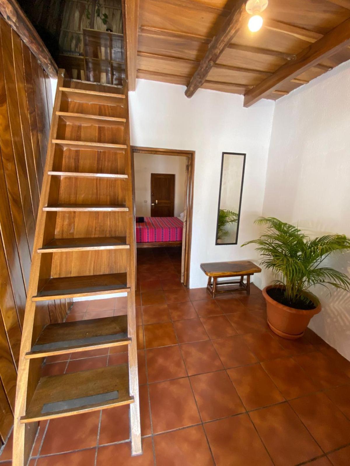 Hotel Paredon Surf House à El Paredón Buena Vista Extérieur photo