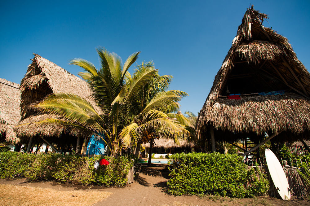 Hotel Paredon Surf House à El Paredón Buena Vista Extérieur photo